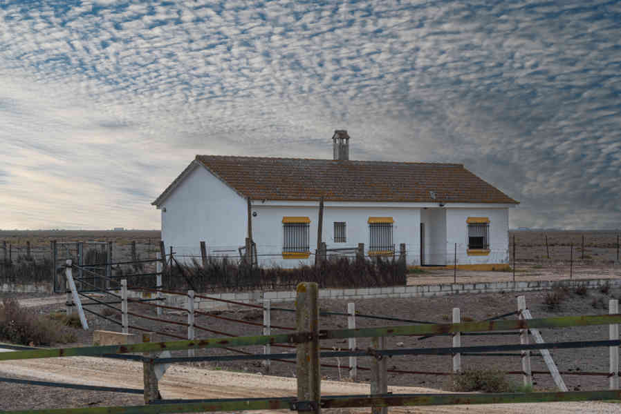Huelva - parque nacional de Doñana 03 .jpg